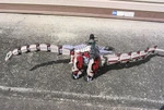 Seismo