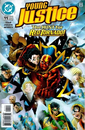 Cover for Young Justice #11