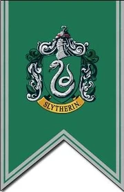 Slytherin banner