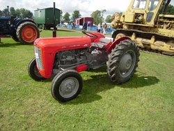 Massey Ferguson 35-Restored-Driffield-P8100562