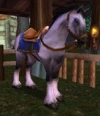 Riding White Stallion