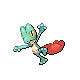 Treecko DP variocolor