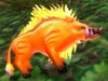 Young Thistle Boar