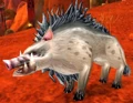 Mottled Boar.jpg