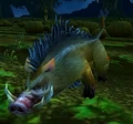 Porcine Entourage.jpg
