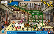 New-dojo