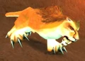 Broken Tooth.jpg