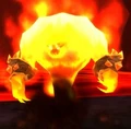 Flameguard.jpg