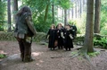 CareofMagicalCreatures.jpg