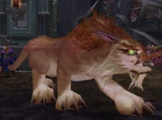 Halazzi (Lynx)