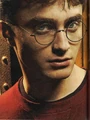 Harry Potter Profile.JPG