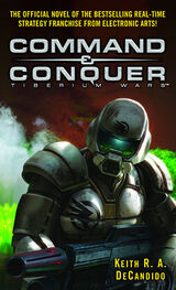 CC Novel Cover
