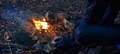 Fire.jpg