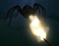 Impedimenta.jpg
