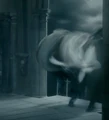 Apparition of Harry and Dumbledore.jpg