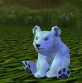 Babyblizzardbear.JPG