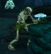 Skeletal Runesmith
