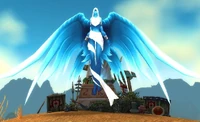 Image of Koiter