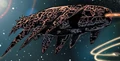 YVadvancescoutship.jpg