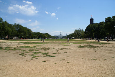 The Mall
