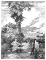 Connfiddler.gif