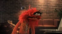 Muppets-com81