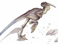 Pikobi.jpg