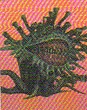CC7Landmalboro