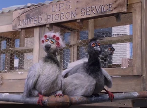 Letters-pigeons