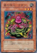 WodantheResidentoftheForest-DL4-JP-C