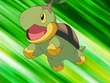 EP470 Turtwig en la ilusión de Maya