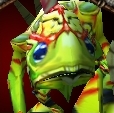 Tiderunner face
