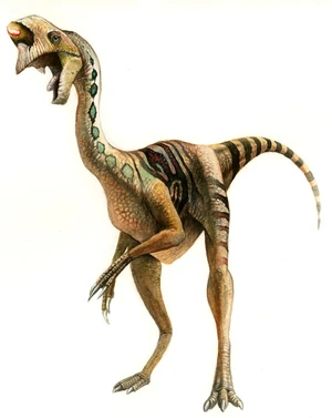 Oviraptor02