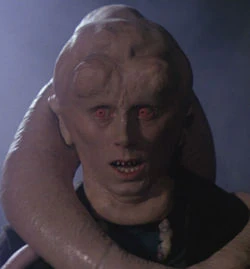 Bibfortuna01.jpg