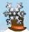 Snowflake.jpg (1 KB) Snowflake