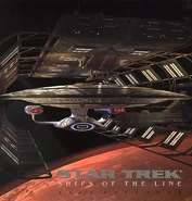 Ships of the Line 2001