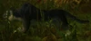 Shadow Panther