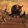 Dwarf Spider Dwarf.jpg
