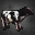 Cow Icon