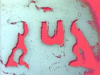3745.SandU.jpg