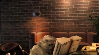 Muppets-com91