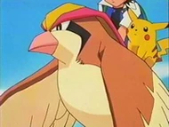EP083 Ash y Pikachu montados en Pidgeot