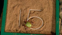 4175Number02.jpg
