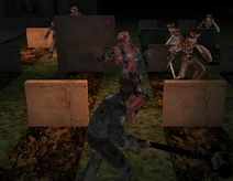 FallenW01
