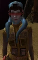 Echanifiber.png