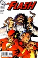 Flash v.2 229