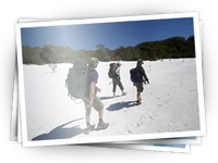 Ajira-ilha.png
