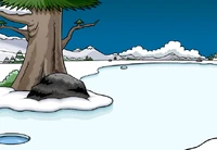 Outback pond