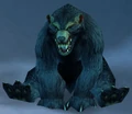 Black Bear.jpg