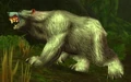 Ironfur Patriarch.jpg